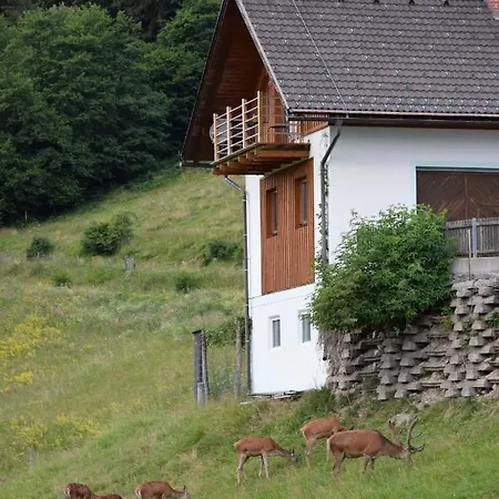Apartment Wieserberg