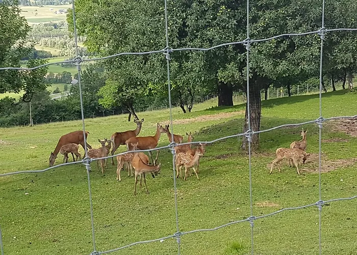 Wieserberg * דלאך