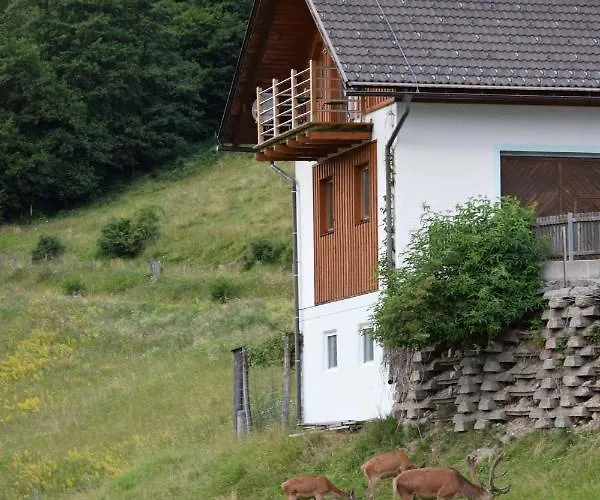 Apartment Wieserberg